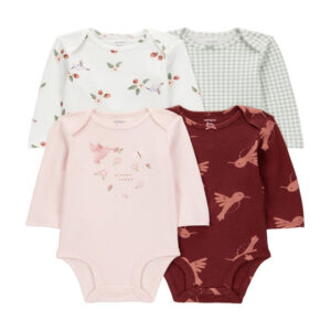 Kit body bebê 4 peças manga longa beija-flor multicor | Carter's